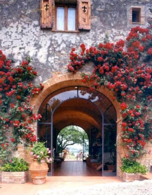 B&B Countryhouse Villa Baciolo San Gimignano Ngoại thất bức ảnh