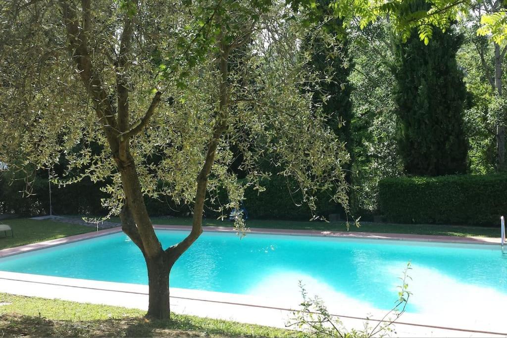 B&B Countryhouse Villa Baciolo San Gimignano Ngoại thất bức ảnh