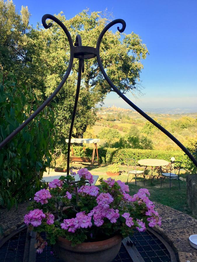 B&B Countryhouse Villa Baciolo San Gimignano Ngoại thất bức ảnh
